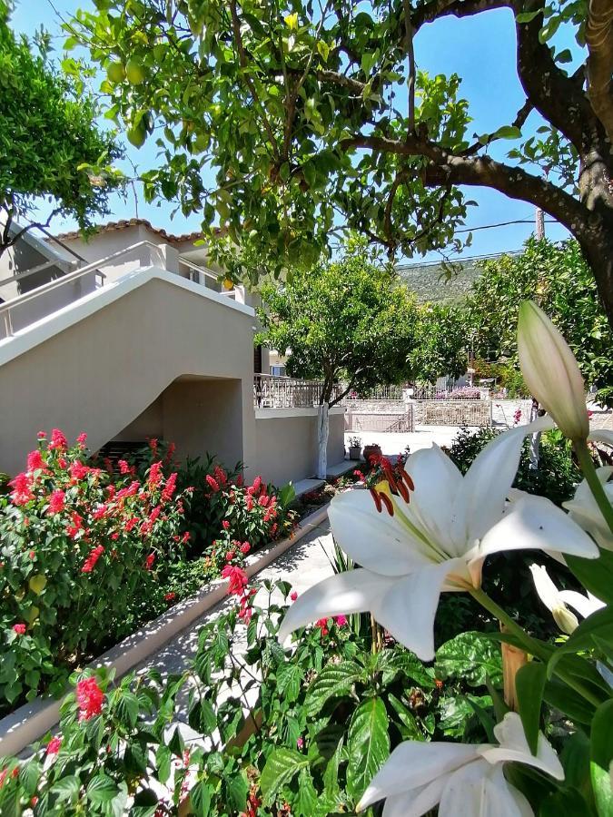 Villa Nikolaou Parga Esterno foto